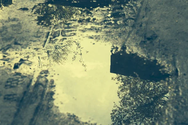Sky and trees reflection in a puddle, vintage style — Stock Photo, Image
