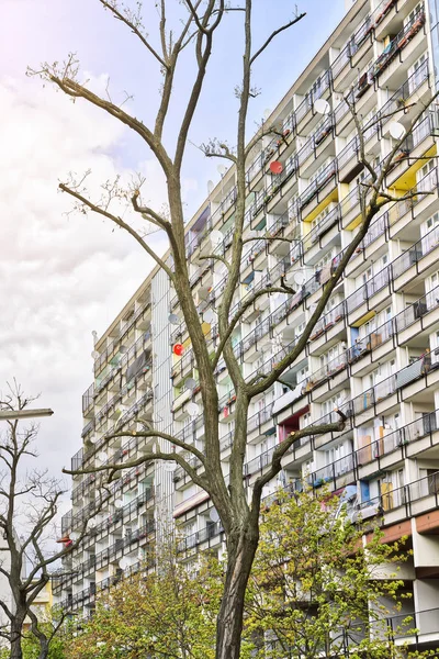 Sociale huisvesting, wolkenkrabber met dode boom, Berlijn — Stockfoto