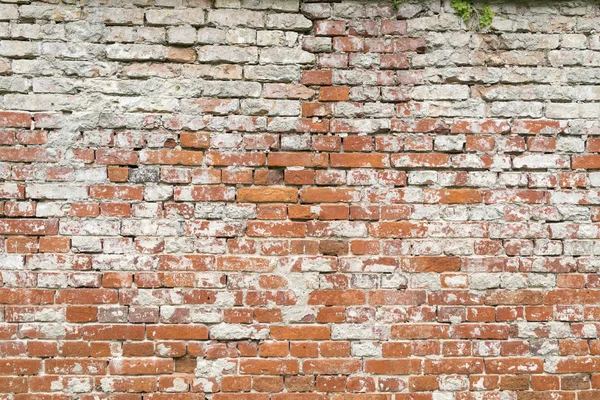 Старая стена из красного кирпича для фона и композиций — стоковое фото