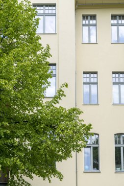 basit ev cephe ağaç