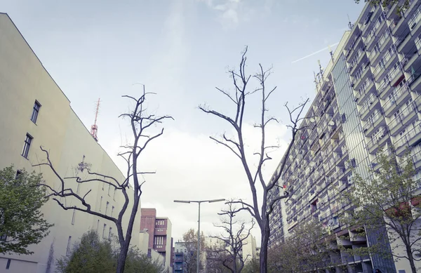 Straatbeeld met twee dode bomen uit Berlijn — Stockfoto