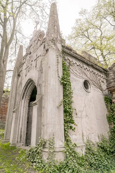Vecchia tomba gotica ricoperta di edera — Foto Stock