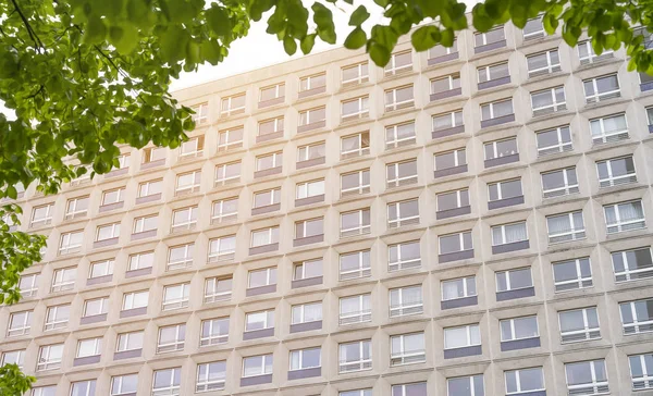 Fachada de um arranha-céu emoldurado por folhas — Fotografia de Stock