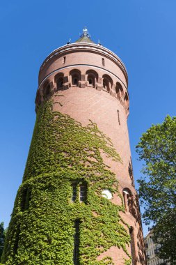 eski su kulesi Berlin Kreuzberg Ivy ile büyümüş
