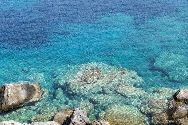 Turkuaz Okyanusu kayalarda