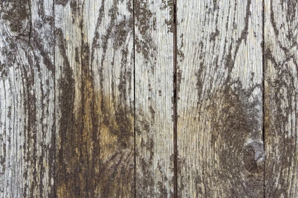 Tablones de madera envejecida para fondos — Foto de Stock