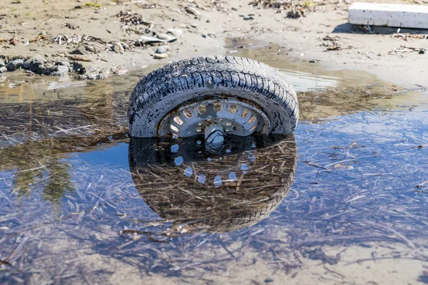 Viejo neumático abandonado tendido en un charco —  Fotos de Stock
