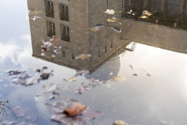 Reflection of a building in a puddle with autumn leaves — Stock Photo, Image