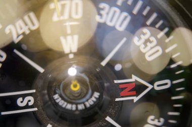 bokeh ile deniz bir pergelin yakın çekim