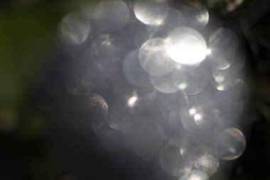 arka planlar ve yer paylaşımları için güzel bokeh vurdu