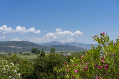 Dağlı ve mavi gökyüzü olan Yunan manzarası