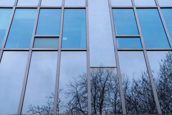 Голубой Стеклянный Фасад Зеркальными Деревьями — стоковое фото