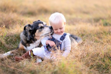Alman çoban Miz doğurmak köpek kız bebek yanağından öpmek