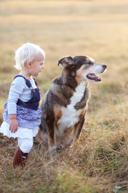 Alman çoban için konuşmak kız bebek dışında günbatımında köpek.