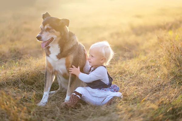 Jeden rok staré dítě láskyplně držel její domácí německý ovčák pes — Stock fotografie