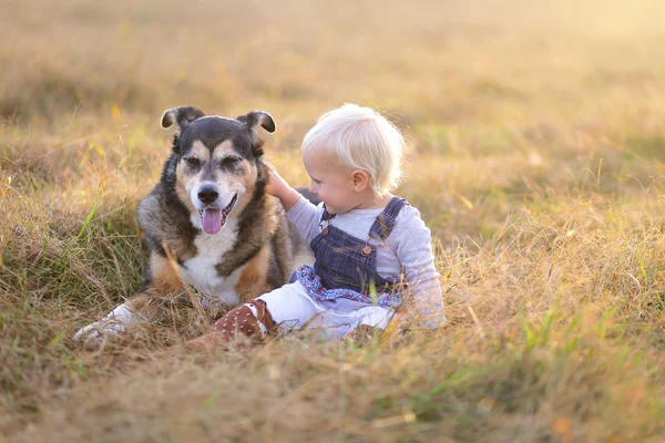 Happy Little Toddler menina acariciando seu pastor alemão Mix Breed — Fotografia de Stock