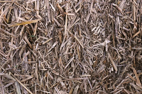 Antecedentes de una paca de heno en otoño — Foto de Stock