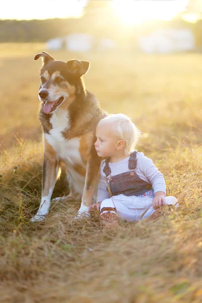 Bebé niña y mascota pastor alemán perro relajarse en la granja al atardecer —  Fotos de Stock