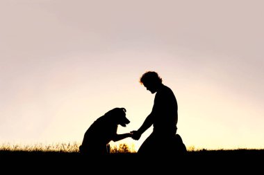 Adam sallayarak elleriyle onun sadık evde beslenen hayvan köpek silüeti
