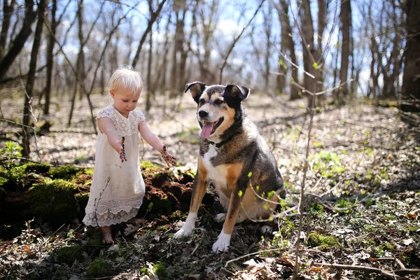 Menina pequena com as mãos sujas brincando na floresta com ela — Fotografia de Stock