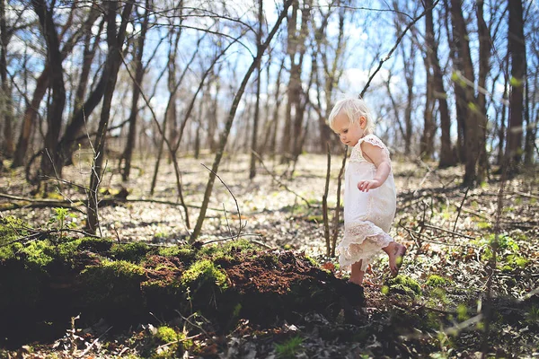 Doğa ormanda keşfetmek küçük yürümeye başlayan çocuk kız