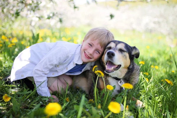 Happy Little Boy Relaxante em Flower Meadow e abraçando seu animal de estimação D — Fotografia de Stock