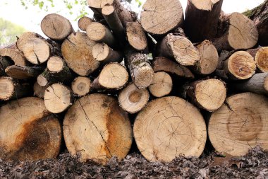 Ateş için odun yığını günlüklerinde yığılmış