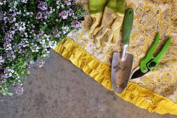 Fondo de cemento bordeado por flores y herramientas de jardinería — Foto de Stock