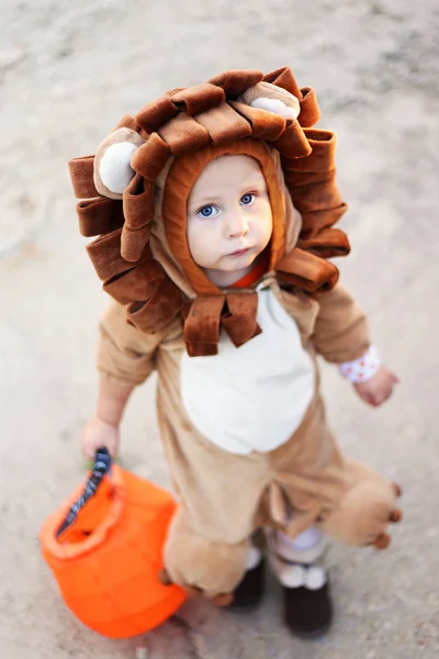 Bebé niño vestido con traje de león en Halloween —  Fotos de Stock