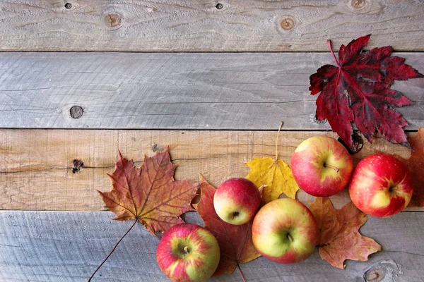 Rustikální podzim dekorace javorové listí a jablka rámečku zvětralé W — Stock fotografie