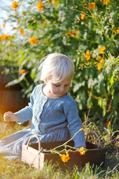 幼児女の子を少し夏の庭に座って花を選ぶ — ストック写真