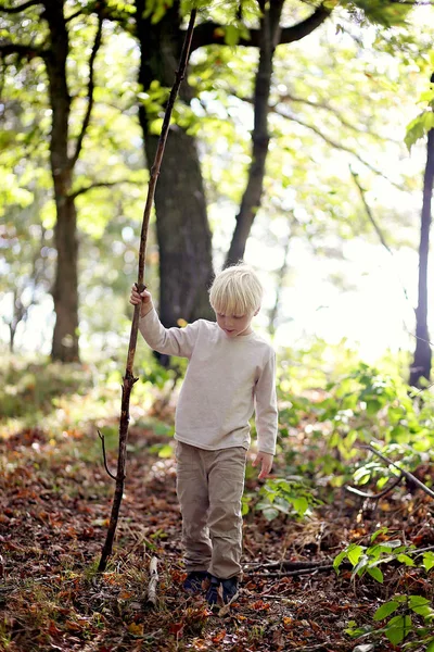 Kleiner Junge mit großem Stock geht im Wald spazieren — Stockfoto