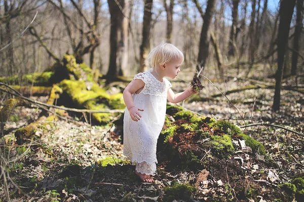 Kleines Mädchen erkundet die Natur im Wald — Stockfoto