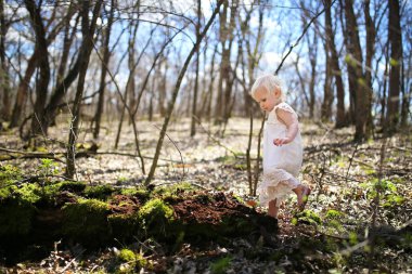 İki yaşında bir bebek toddler kız doğa, yaprak döken orman içinde kırık bir ağaç üzerinde yürüyen keşfetmek.