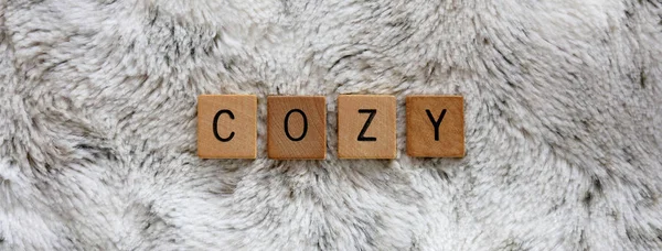 Λέξη Cozy συλλαβίζουν έξω στα ξύλινα κεραμίδια επιστολή σχετικά ζεστό Faux γούνα Bl — Φωτογραφία Αρχείου