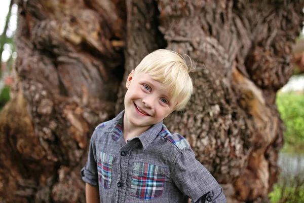Lindo rubio pelo azul ojos niño fuera sonriendo en la naturaleza —  Fotos de Stock