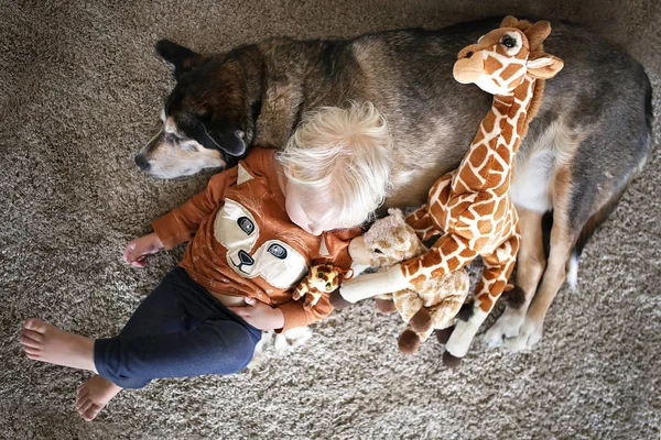 ペットと遊ぶ幼い子供ドイツの羊飼い犬とキリン — ストック写真