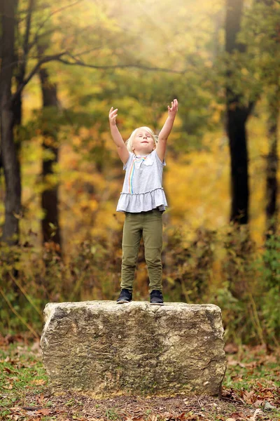 かわいい女の子の子供は空気中に彼女の腕を持っており 彼女は秋の日に森の中の大きな岩の上で遊んでいると想像しています — ストック写真