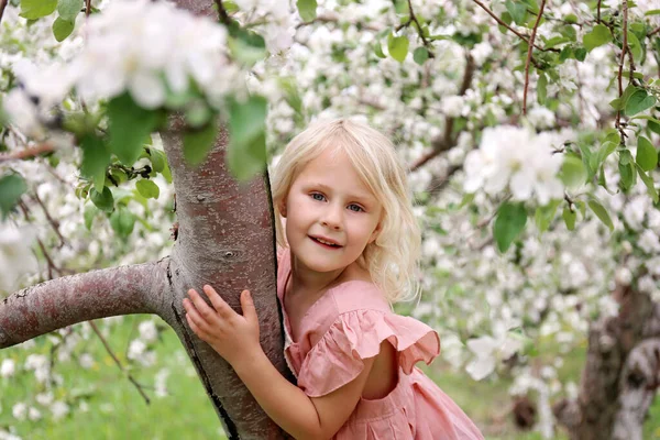 귀여운 살짜리 아이가 밖에서 놀다가 과수원에서 꽃피는 사과나무에 오르고 있습니다 — 스톡 사진