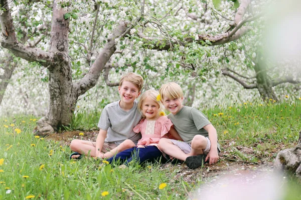 Трое Очаровательных Детей Братья Сестра Счастливо Улыбаются Сидя Цветущими Яблонями — стоковое фото