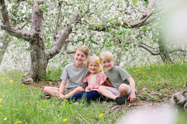 Three adorable sibling children, brothers and their sister, are smiling happily as they sit outside under the flowering Apple trees in the orchard on a spring day.