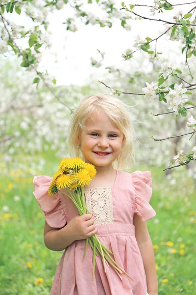 春天的一天 一个快乐的小女孩在果园的苹果树下捧着蒲公英 脸上挂着笑容 — 图库照片