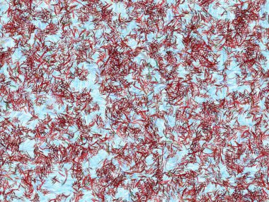  Renkli arka plan, doku.