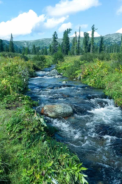 Parc Naturel Ergaki Été Ruisseau Orageux Dans Les Montagnes Dans — Photo