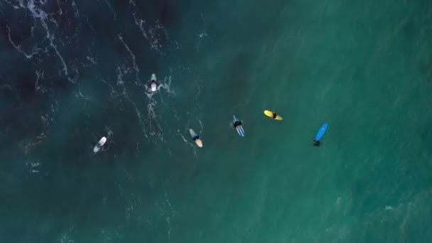 Top Vue Des Surfeurs Sur Planche Surf Dans Mer Plage — Video
