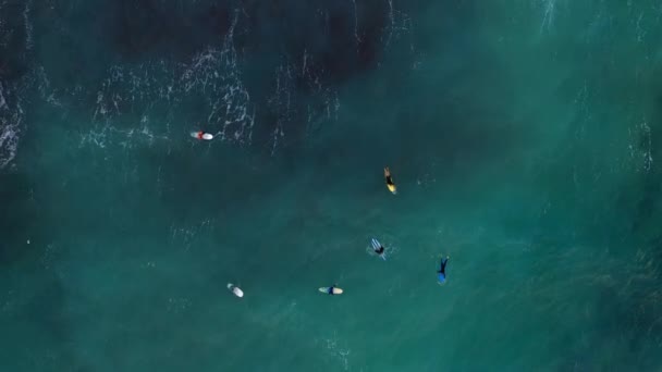 Top Vue Des Surfeurs Sur Planche Surf Dans Mer Plage — Video