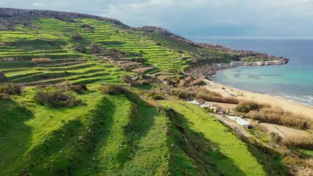 Aerial View Gnejna Bay Beach Winter Lot Greeny Hills Fields Stock Footage