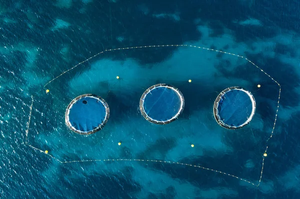 Aerial Top View Rings Tuna Farm Mediterranean Sea Europe Malta Royalty Free Stock Images