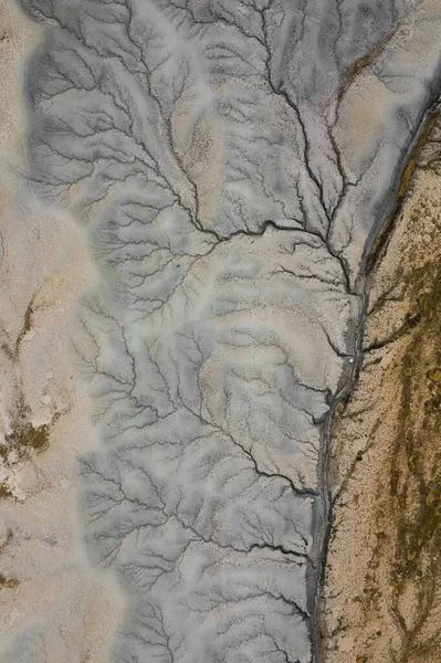Aerial top view of nature desert landscape and dried riverbed in Utah state. Looks like a tree. USA country