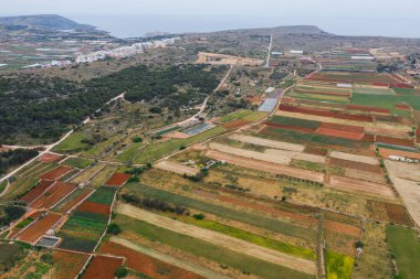 Yeşil renkli tarım alanlarının havadan görünüşü. Doğa manzarası işte. Malta adası